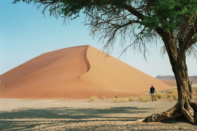 dune45itis150mhighandverylong.jpg
