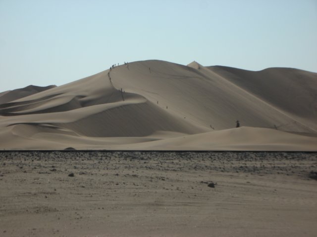 famousdune7is8kmnortheastofwalvisbaynamibia.jpg