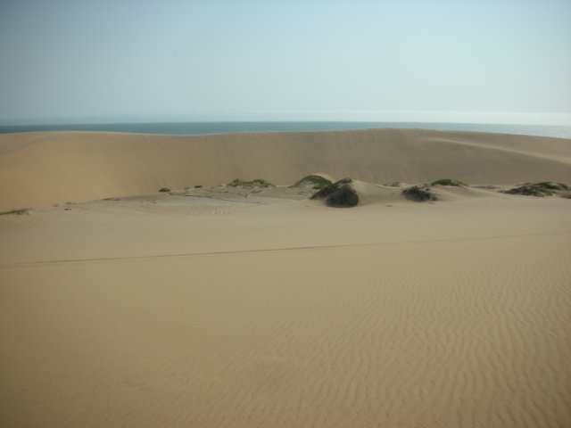 sanddunesbetweenwalvisbayandsandwichharbournamibianotetheatlanticinthebackground.jpg