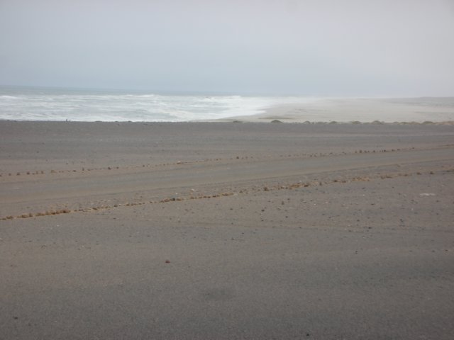 theskeletoncoastisafoggyregionwithsandyrockycoastalshallows.jpg