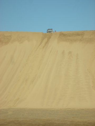 wedrovedownthedunetwice.jpg
