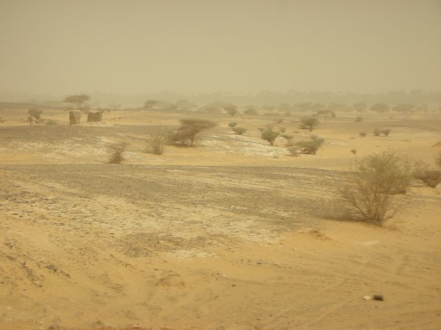 northernsudanbetweenkarimaandkhartum.jpg
