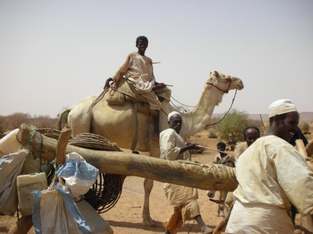 theropeholdingthegoatskinisattachedtothecamel.jpg