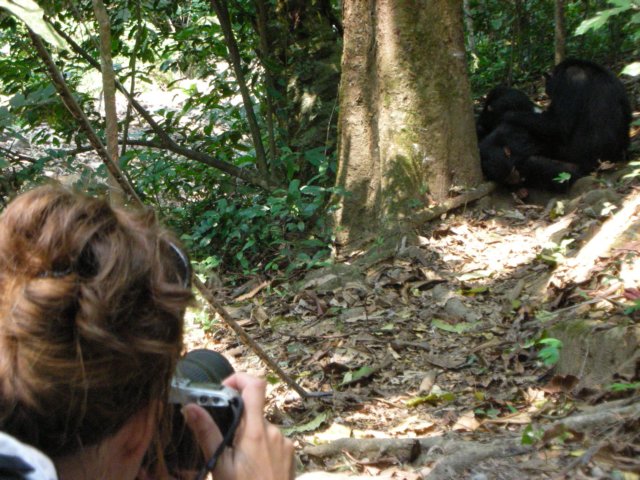 victorialovedobservingandphotographingthechimps.jpg